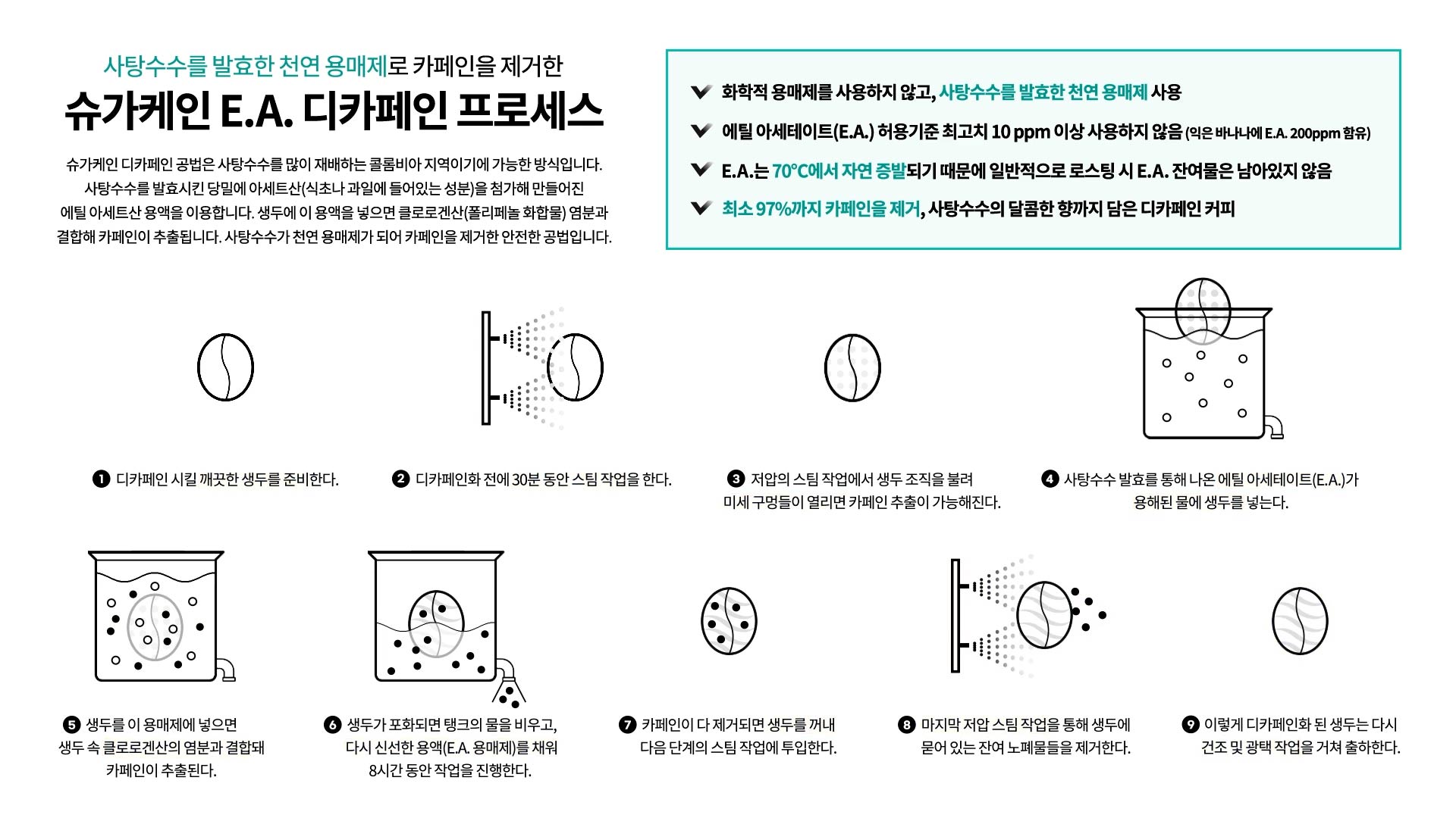 POP | 디카페인공법 소개